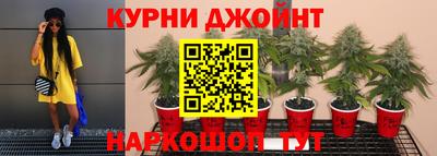 альфа пвп Аргун