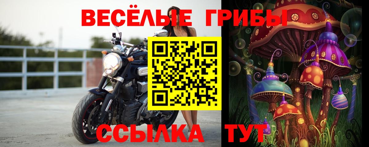 Псилоцибиновые грибы GOLDEN TEACHER  Домодедово 